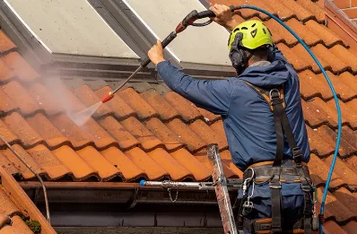 Démoussage et hydrofuge de toiture à Restigné